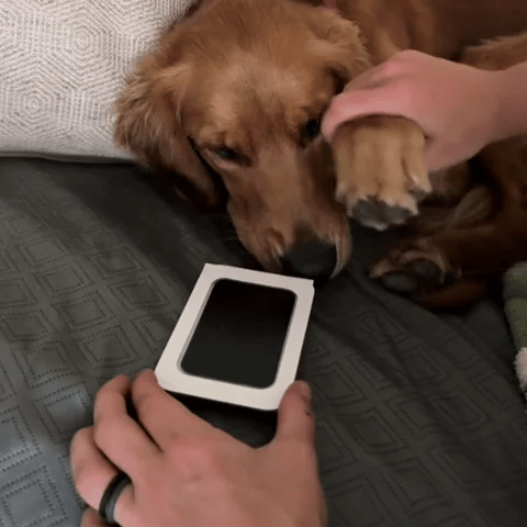 No Mess, Non-Toxic Memory Stamp (3 Pack)