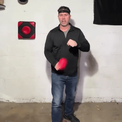 Reflex Strike Pro Training Ball