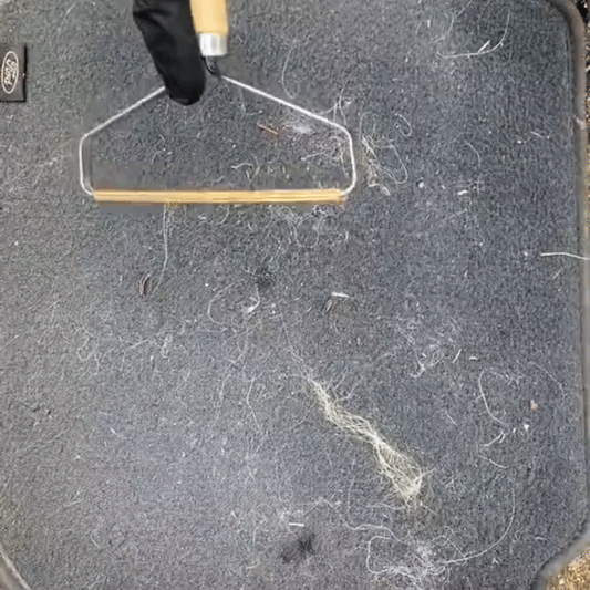 TeethGripp Pet Fur Remover